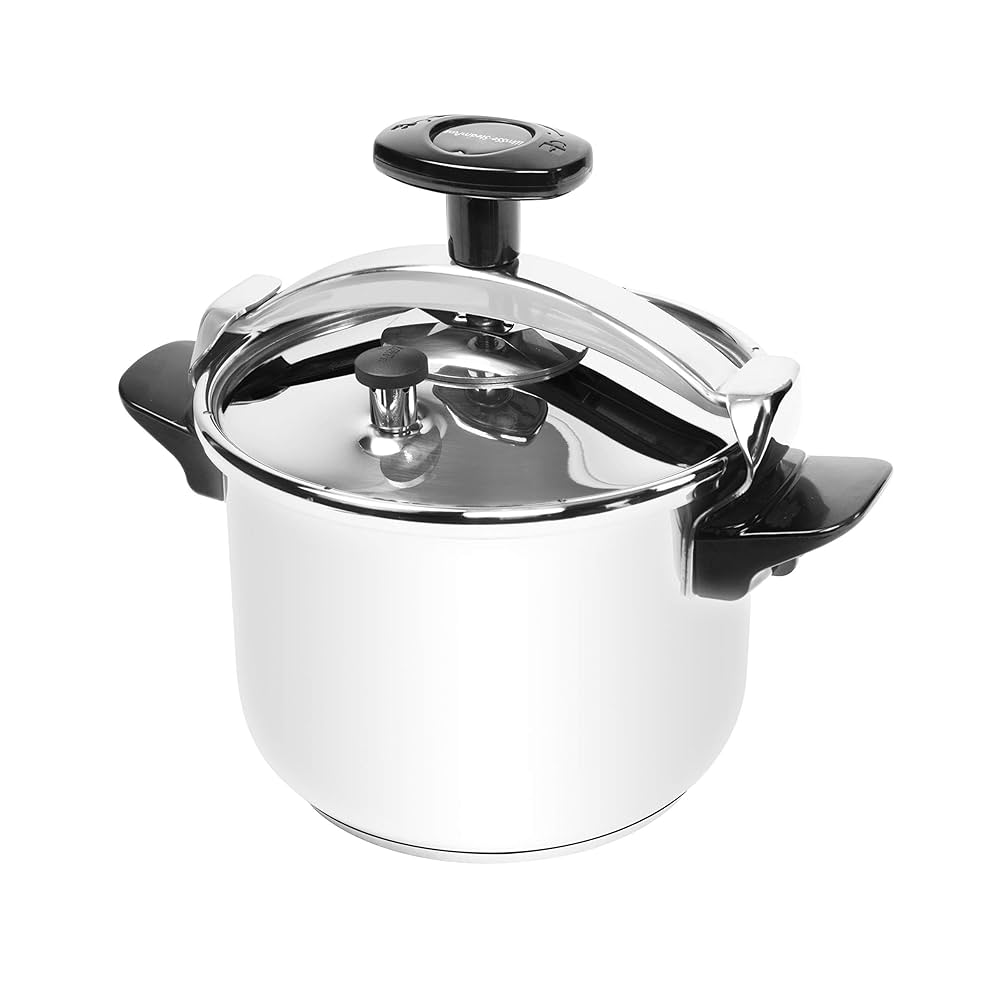 Wmsse-Steampunk Classic Stainless Steel Pressure Cooker,(22